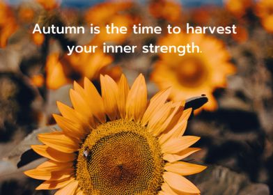 Fall inspirational quotes