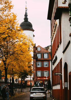 Heidelberg Autumn Colors