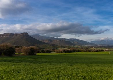 Beauty of Berga zone