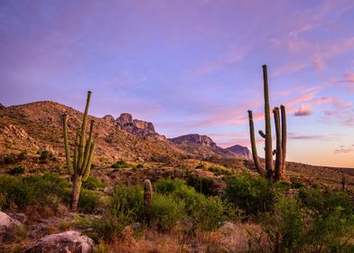 Catalina Mountains