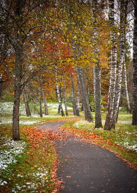 Autumn trees and path