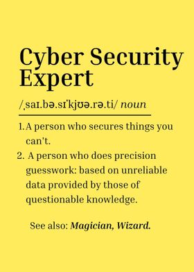 Cyber Security Expert