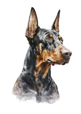 Doberman Watercolor Art