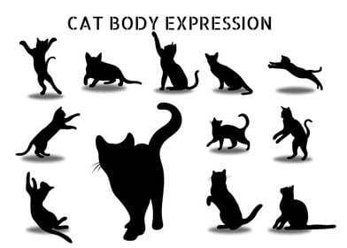 cat body  expression