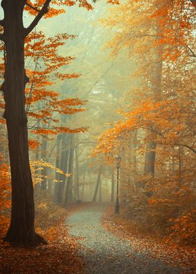 Autumn foggy alley in park