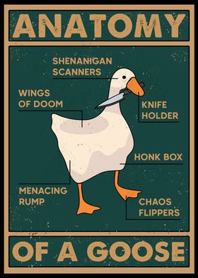 Anatomy Of Mischief Goose