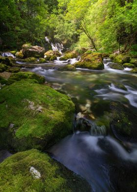 River Nature Spring