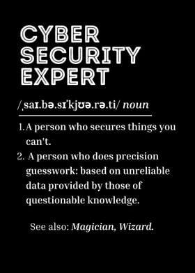 Cyber Security Expert 