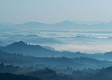 Morning Mist