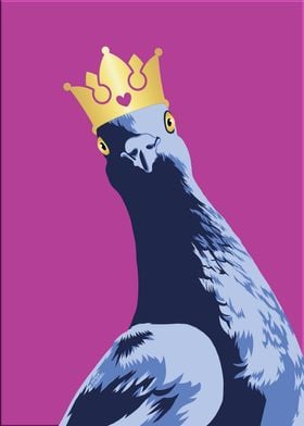 King pigeon