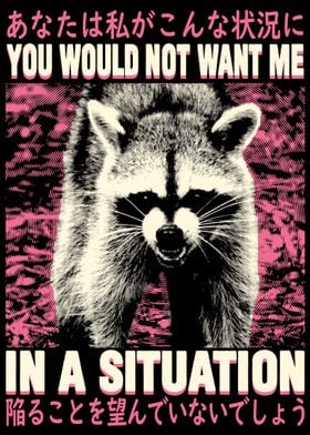 In a situation Raccoon