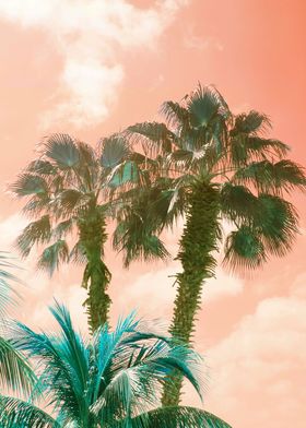 Palm Trees Summer Vibes 2