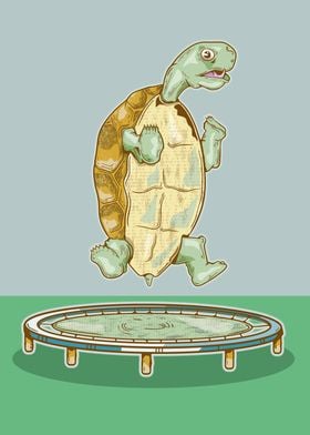 Tortoise on a trampoline