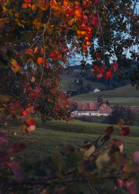 Autumn Barn