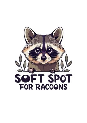 Soft spot for racoons