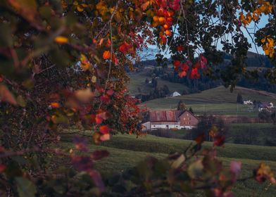 Autumn Barn