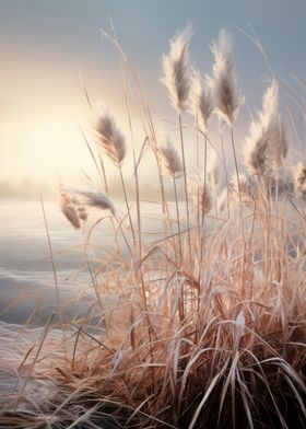 Pampas grass dune