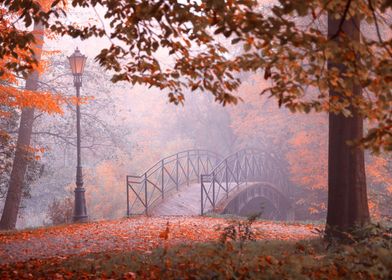 Autumn landscape and path