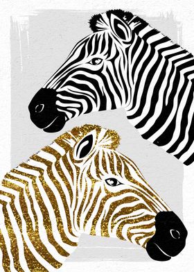 Pretty zebras