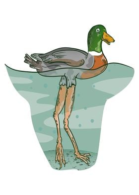 Duck with long legs