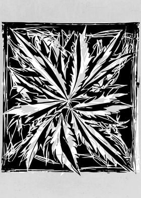 Abstract Weed 