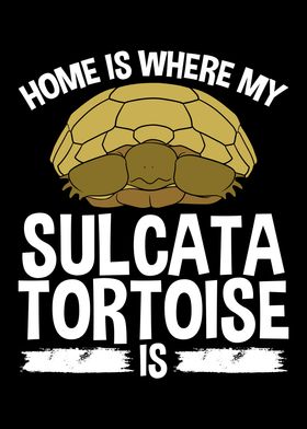 Sulcata Tortoise Lover
