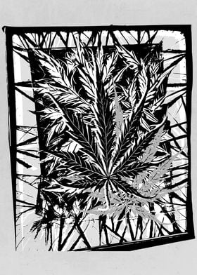 Abstract Weed 