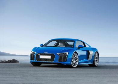 Audi R8 CAR goods