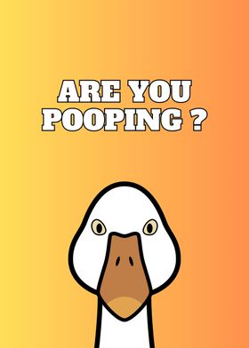 Duck Are you pooping Goose