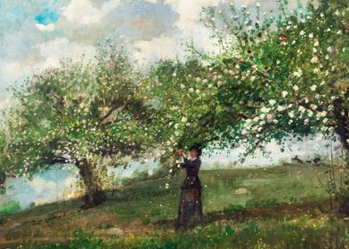 Girl Picking Apple Blossom