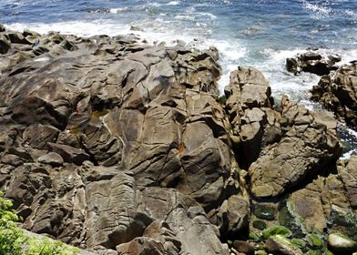 Stony coastline