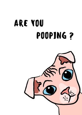 are you pooping