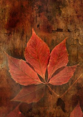 Red leaves grunge texture