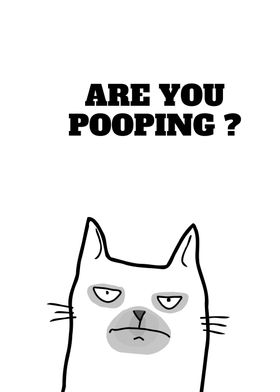 Cat Are You Pooping funny