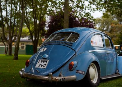 Classic Volkswagen Beetle 