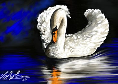 Swan On Blue Lake