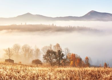 Autumn Carpathian mountain