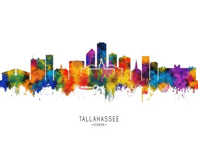 Tallahassee USA Skyline