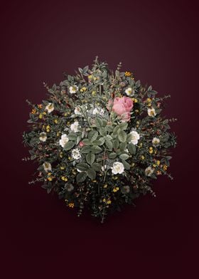 Dwarf Damask Rose Wreath