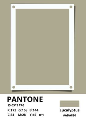 color pantone eucalyptus