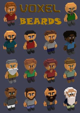 Voxel beards