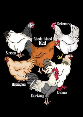 Chicken Breeds Chickens