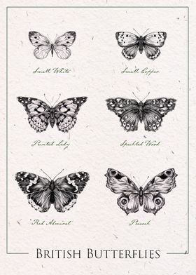 British Butterflies