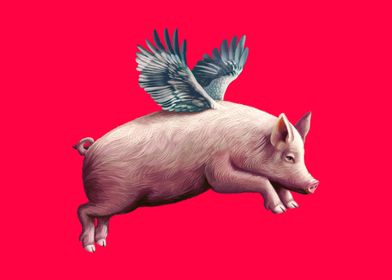 When pigs fly