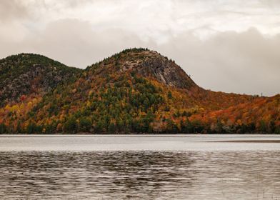 Acadia in the Fall