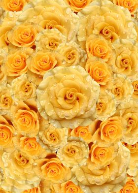 Yellow rose flower pattern