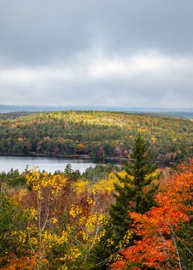 Acadia in the Fall