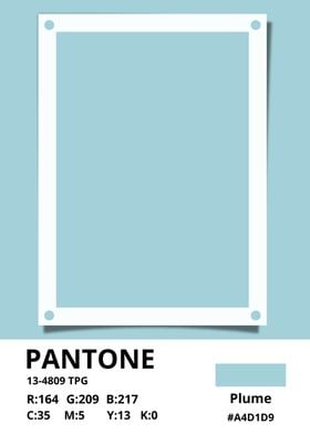 PANTONE Plume