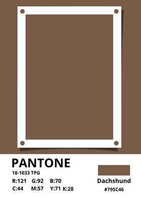 PANTONE Dachshund