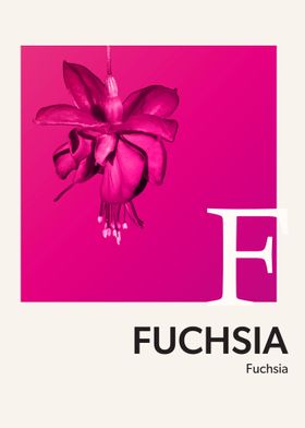Color Alphabet Fuchsia F